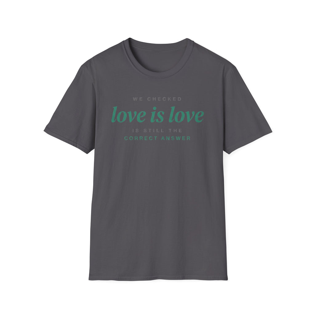 We Checked - Love is Love T-Shirt