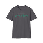 We Checked - Love is Love T-Shirt
