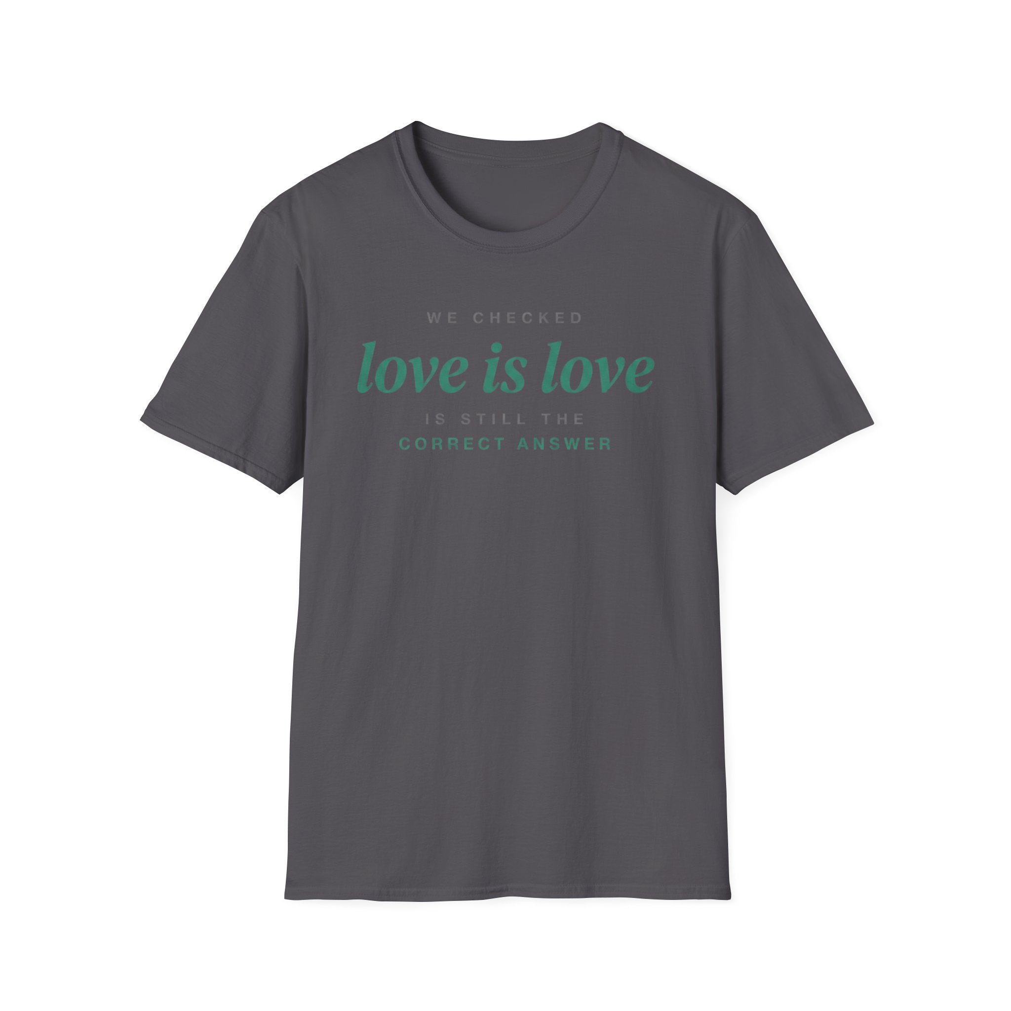 We Checked - Love is Love T-Shirt