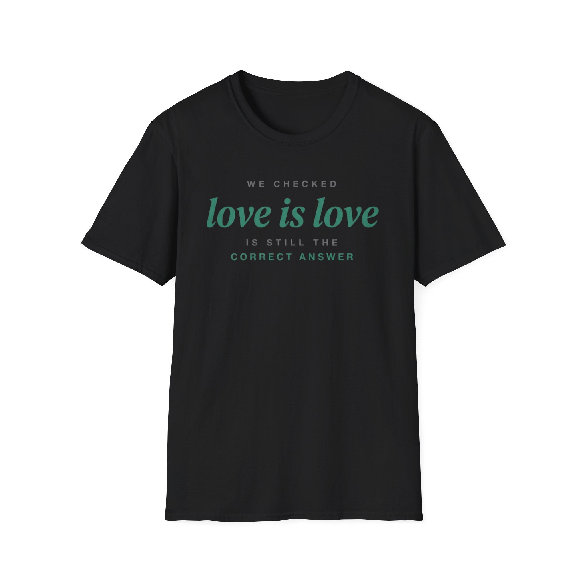 We Checked - Love is Love T-Shirt