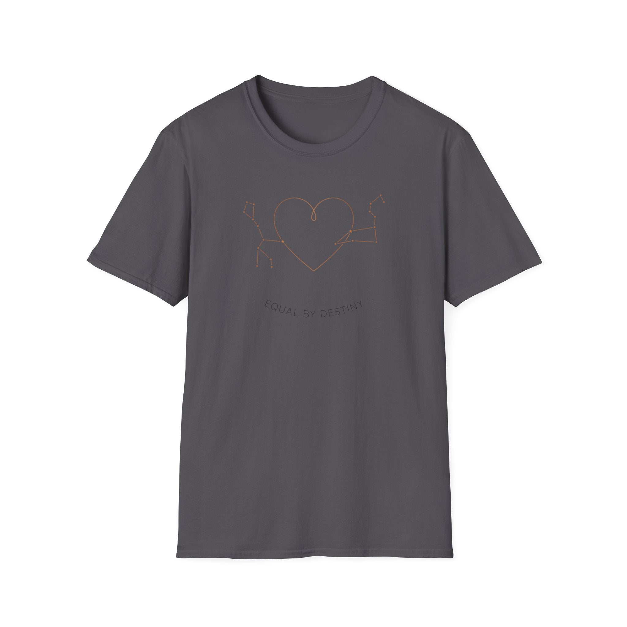 Equal by Destiny  T-Shirt